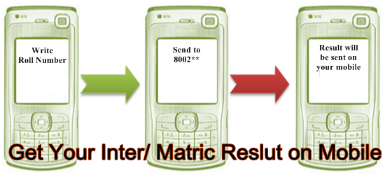 How to Check Matric Result Using Mobile Technology