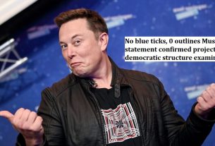 No blue ticks, 0 outlines Musk statement confirmed project democratic structure examinations